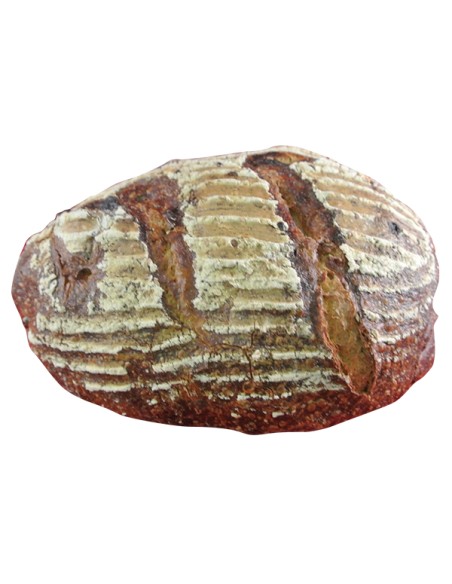 Desem Tomaat-basilicum-spek Voorgebakken