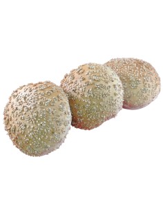 Mini Broodje Wit Sesam